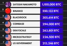 Qui détient le plus de BTC en 2024 ? Le classement des plus gros détenteurs de Bitcoin